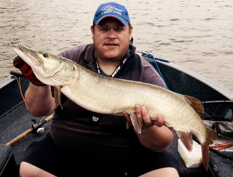Bob with a 40.75 in musky caught on MiniBoss at the National Musky Open.