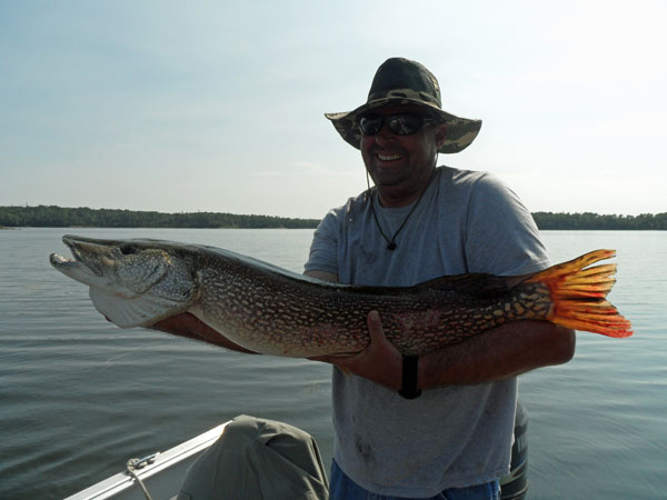 Mark- 42” Northern caught on a prowler in Ontario