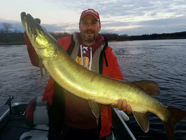 Dennis with a 48 inch musky in musky caught on Boss.