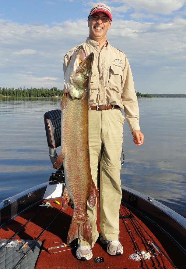 Steve S with a 48” / 34 lb. caught on a mini Boss